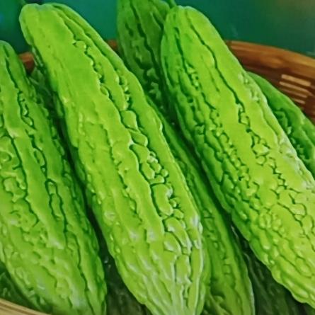 中老年人血糖高可不能拖着，一旦控制不好，高血压、心脑血管病甚至糖尿病并发症都可能