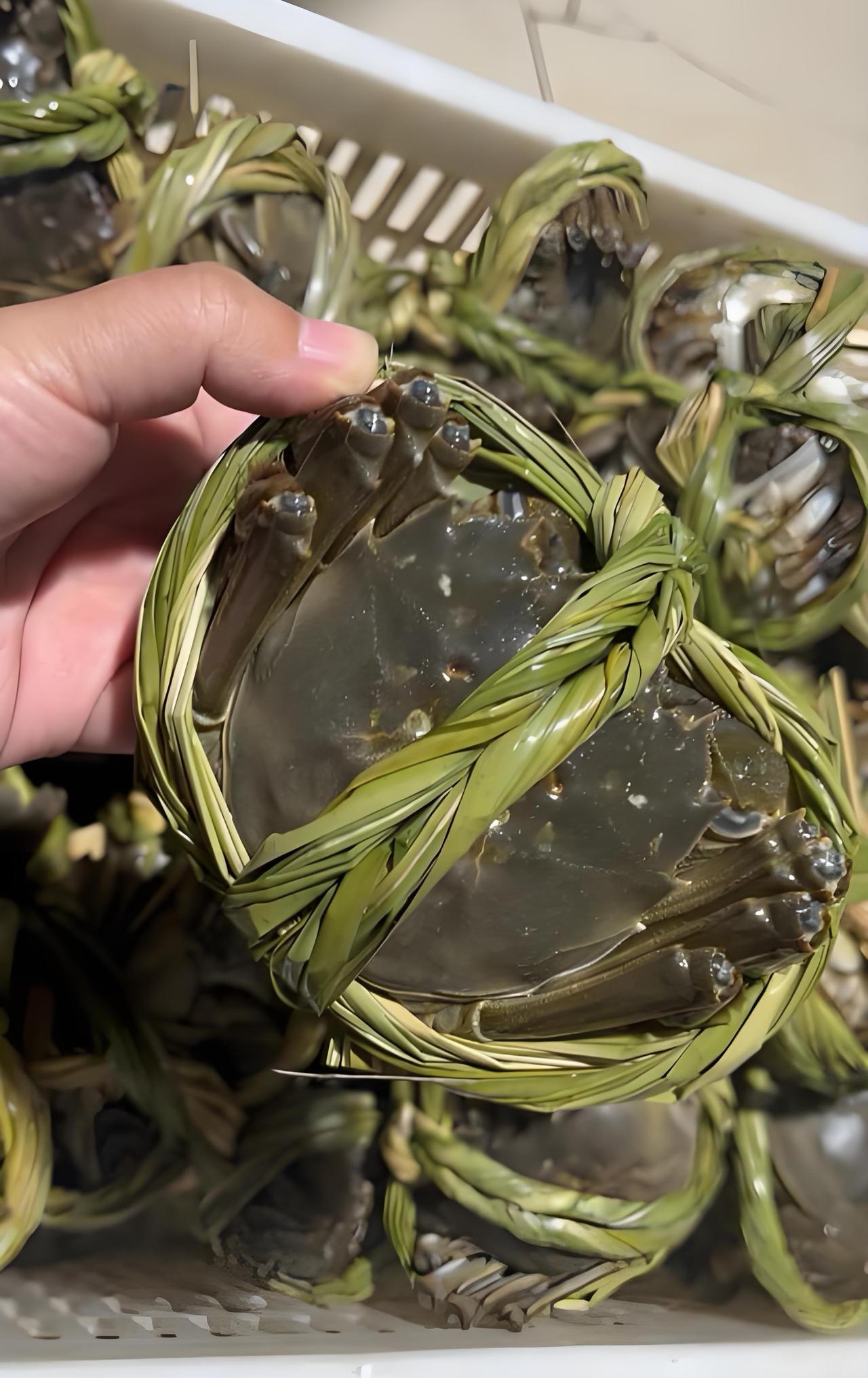 今日运势：丙午年辛卯月壬辰日2026.3.19日鼠：多有贵人相助牛：容