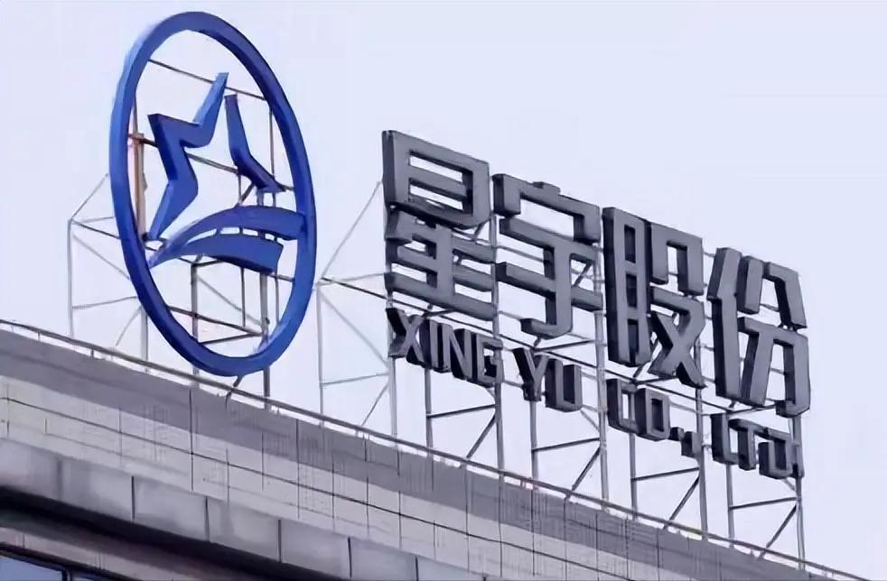 星宇股份这一下全网皆知了，老板是谁--周晓萍，还是什么人大代表，能代表基层人民的