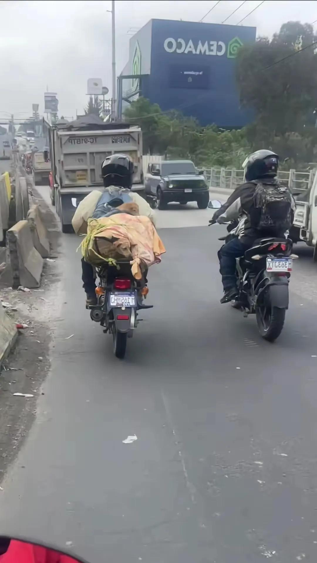 一位农民工大哥工地的活结束后，工友按照老规矩要把工地收养的两只流浪狗杀了吃肉。大