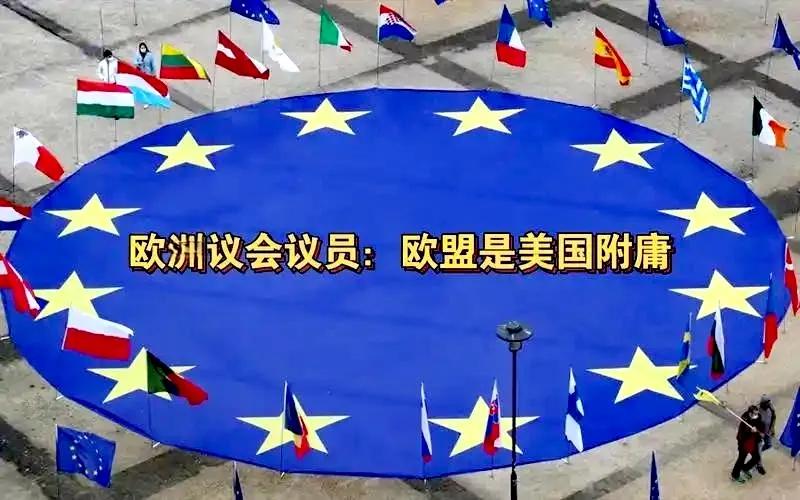 欧盟不是傻，它只是寄人篱下的一个“附庸组织”而已！有报道称，西班牙和华为签了