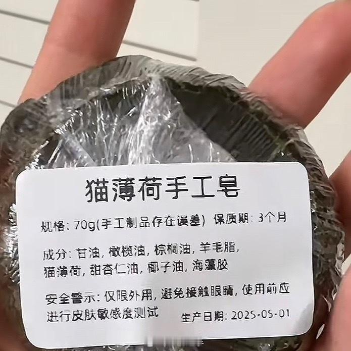 养猫人都开始用猫薄荷香皂洗澡了[捂脸哭]遇见春天春日放个疯​​​
