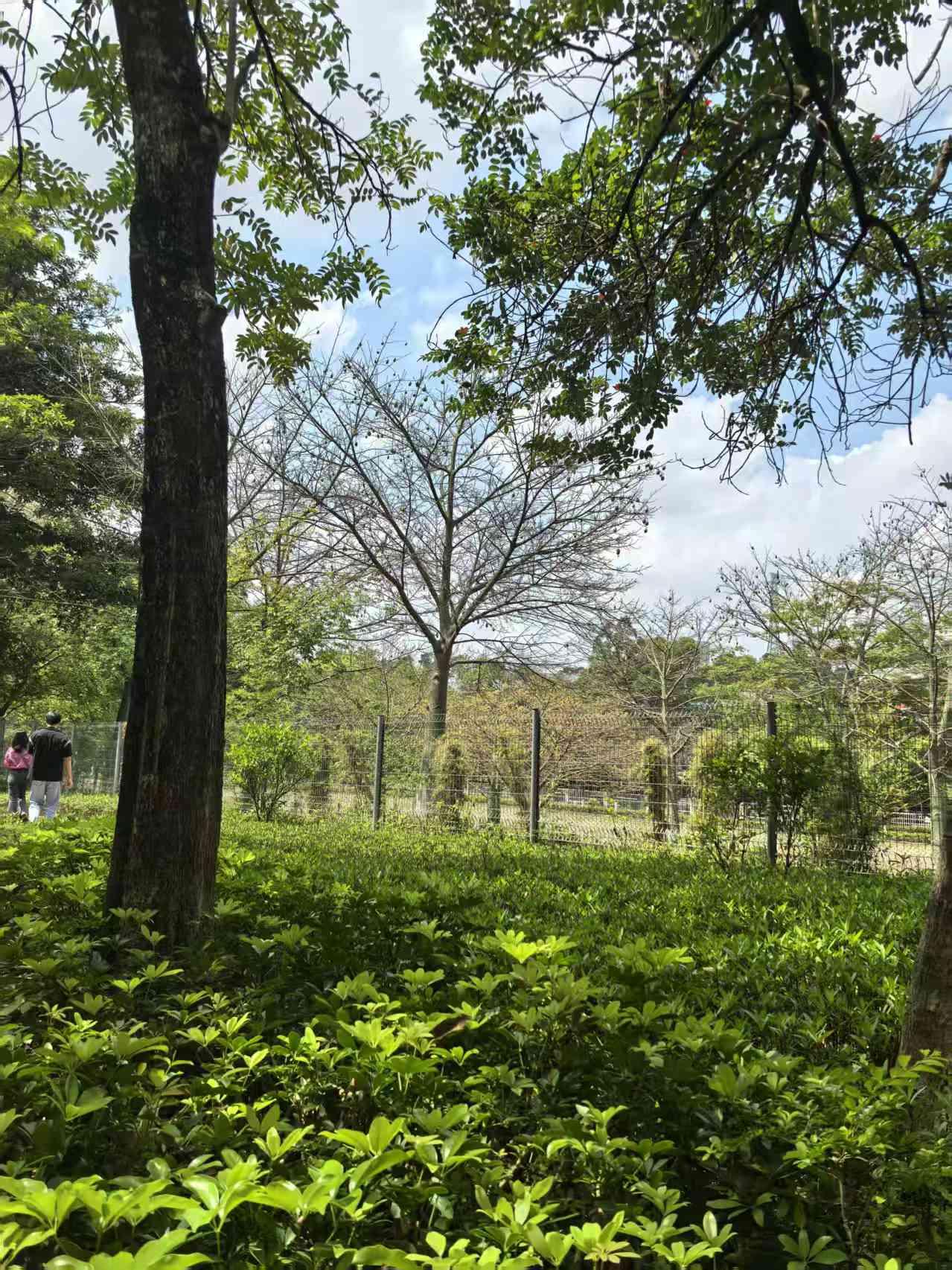 男性不愿从事教师职业，首要原因在于收入微薄。若家庭仅靠一人从事教师工作维持生计，