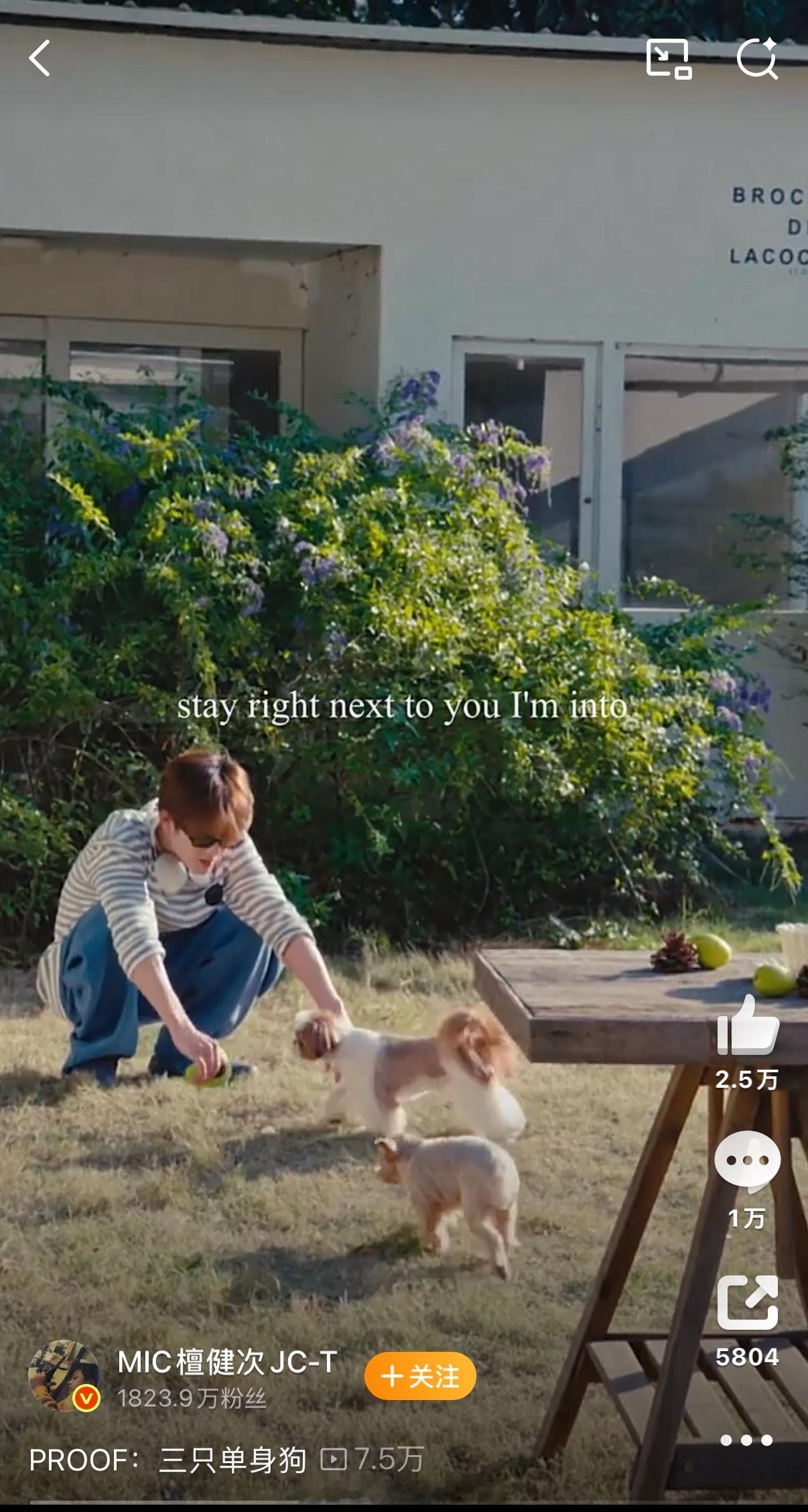 檀健次火速回应，晒了自己的两只狗，说自己单身。