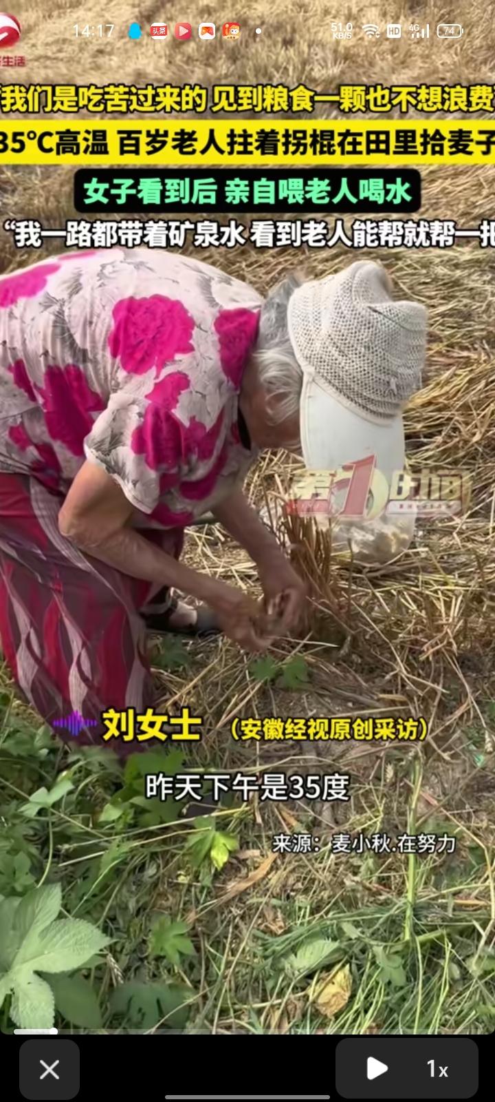 6月7日，河南周口。35度高温，女子看见高龄老人拄着拐杖在田里拾麦子，看着挺心疼
