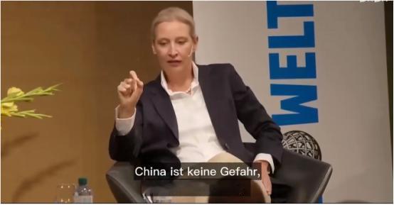 德国选择党联合主席魏德尔这次一句话，把德国政坛很多人不愿直说的尴尬摆到了桌面上，