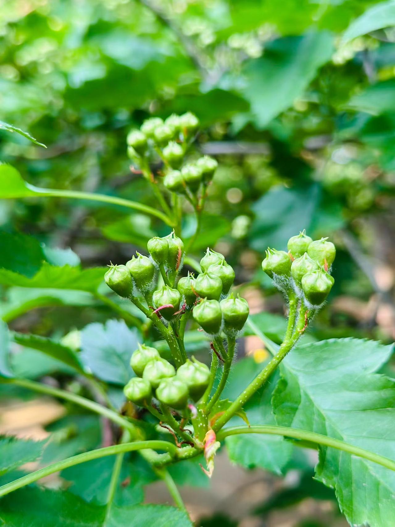 送走谷雨，春天最后一个节气悄然落幕，温暖的日子正式开启。花开花落本是寻常，好