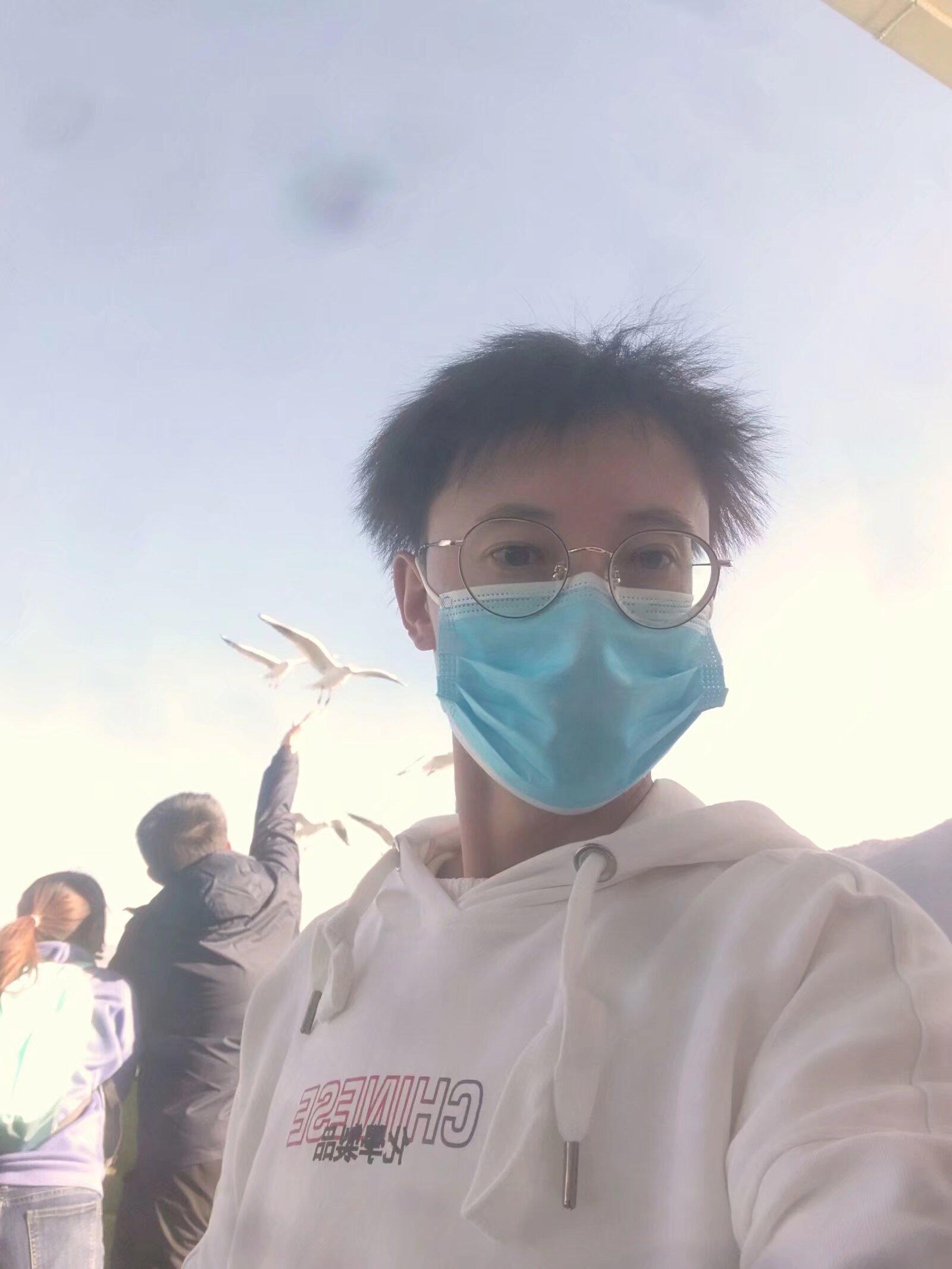 海边拍照 带你去看海 海埂大坝喂海鸥