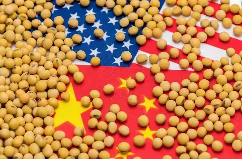 巴西傻眼了！中国宣布恢复采购美国大豆，双方趋势缓和,巴西豆农之前不断给中国涨价，