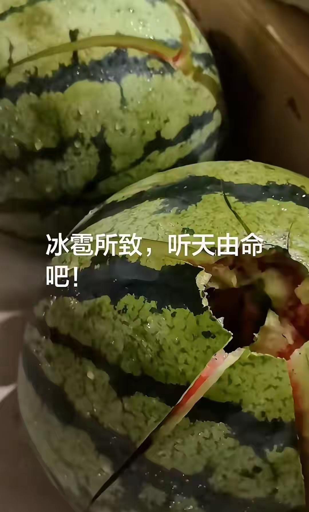 河北冰雹橙警落地农户一晚损失十多万到嘴的收成被砸没了昨天下午还在等商贩收