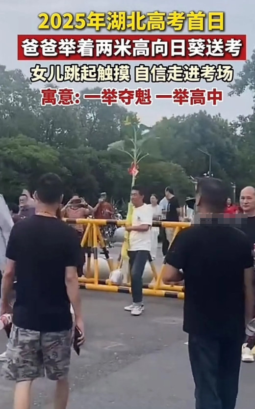 高考第一个显眼包出现了！湖北高考首日，爸爸举着2米高的向日葵送考，女儿笑起来触摸