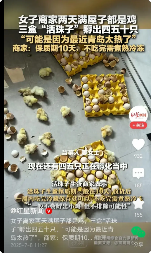 笑不活了！青岛，女子离家两天，回到家，却看到满屋子的小鸡，原来是没吃完的“活珠子