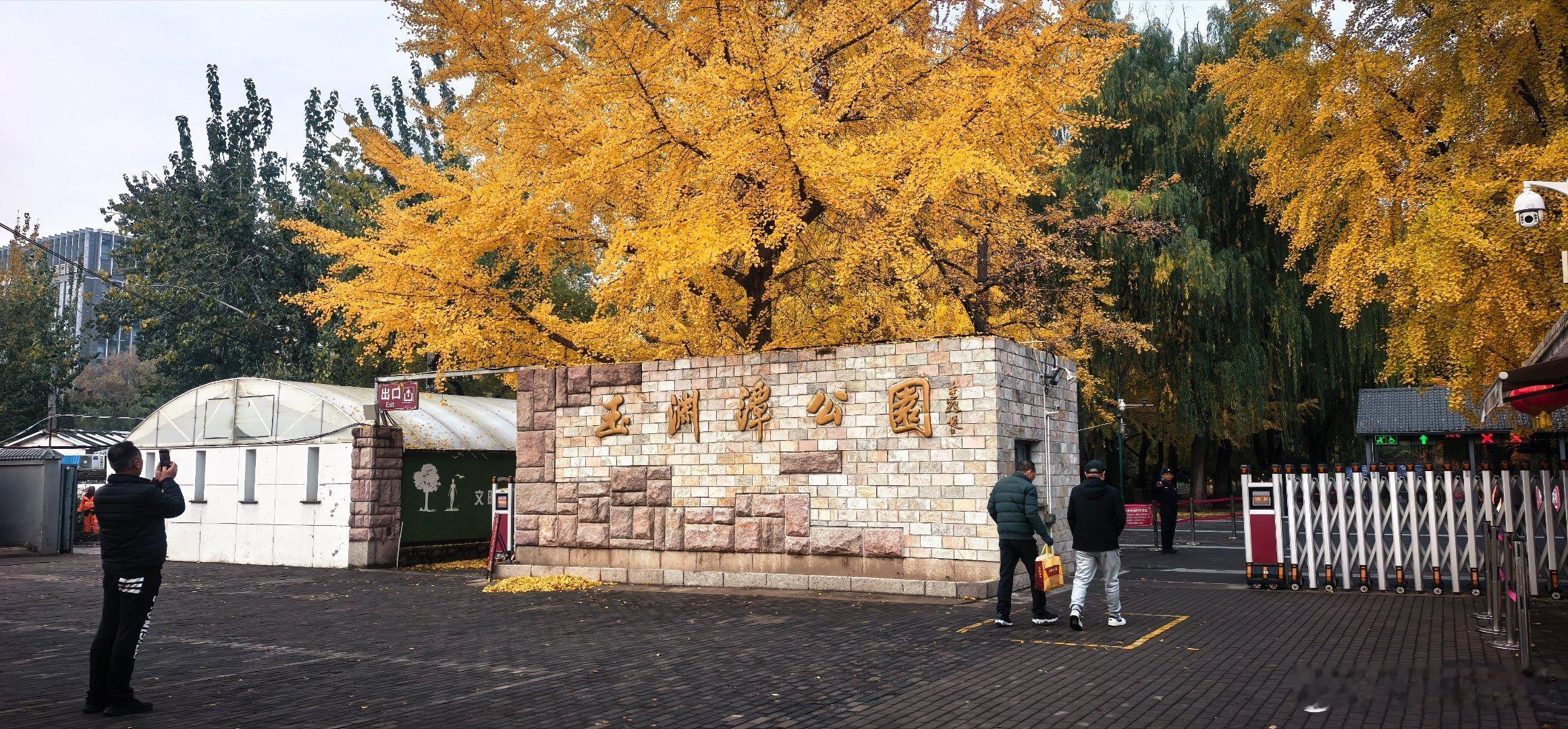 初冬，雨后的玉渊潭公园，五彩斑斓，美不胜收摄影