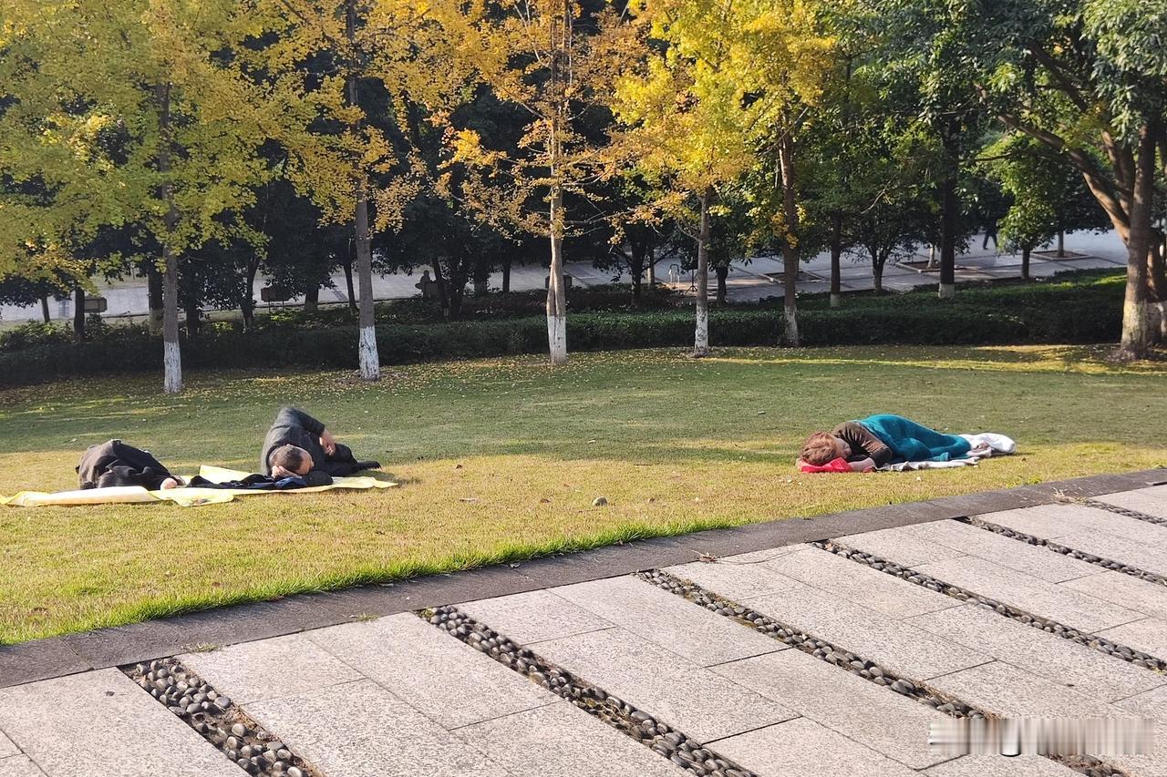 邻居大娘有男女五个娃，都是在上个世纪五六十年代生养的。养大他们，大娘两口子吃了