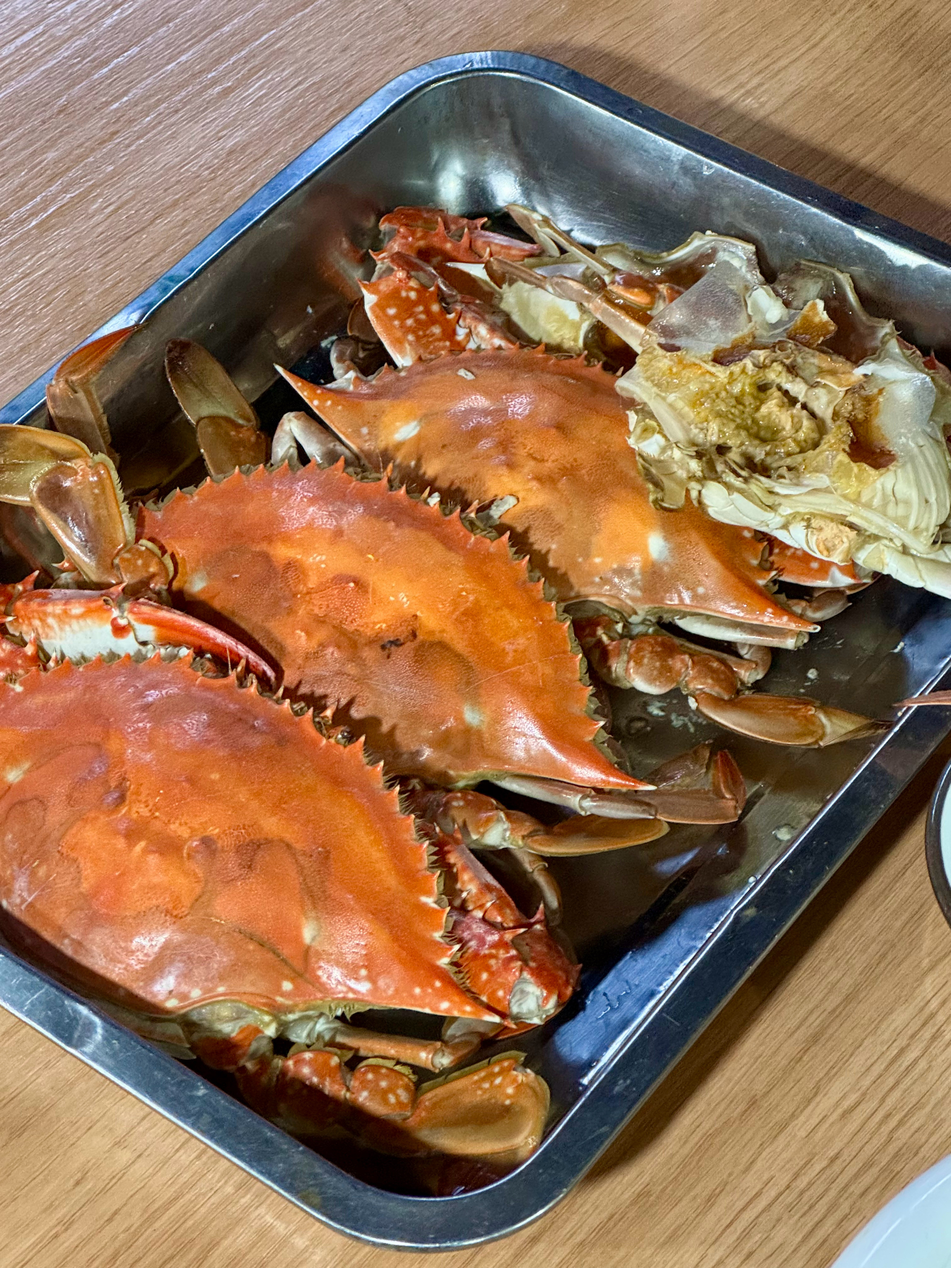 开海啦！当然要爽吃海鲜🦀