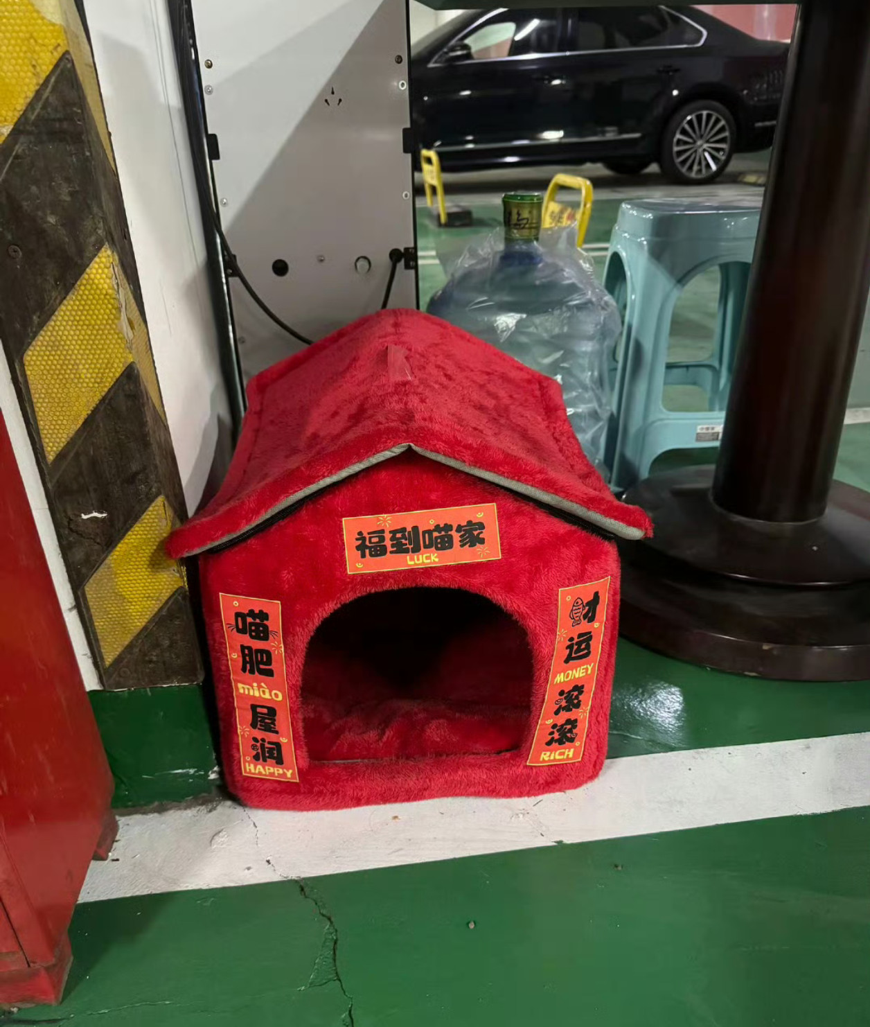 肖战在锦州时给流浪猫买了猫窝也太温柔了吧！肖战在锦州拍戏入住喜来登，在地库偶遇了