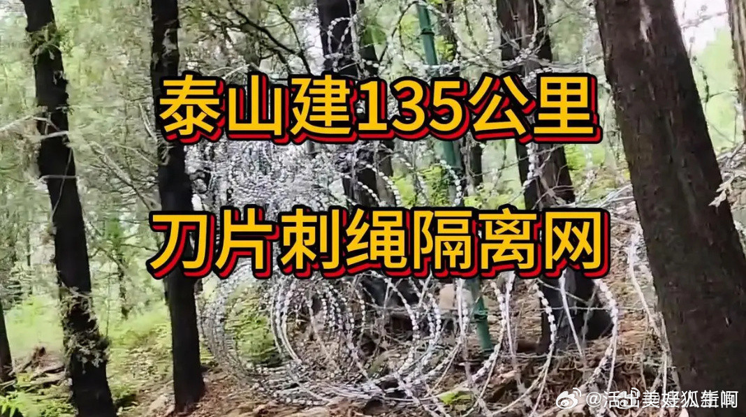泰山疑被135公里刀片铁丝网围住说真的，泰山那么大一片林子，全是宝贝疙瘩，万一有