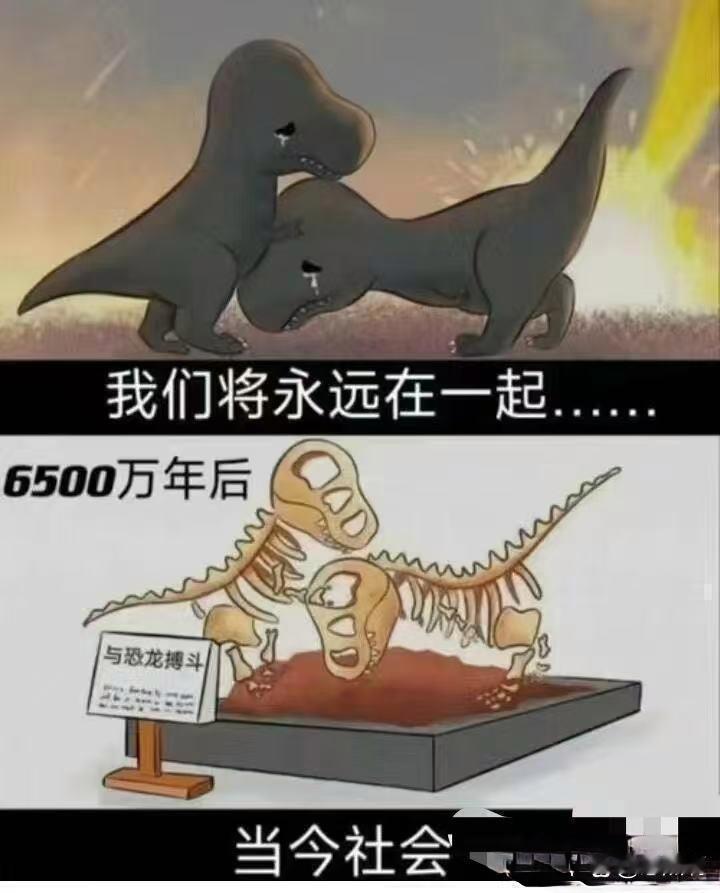 分享梗图，搞笑