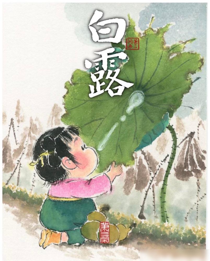 白露一过，菜市场的味道都变了。以前一到换季，我总爱买些所谓的滋补品，花钱不少