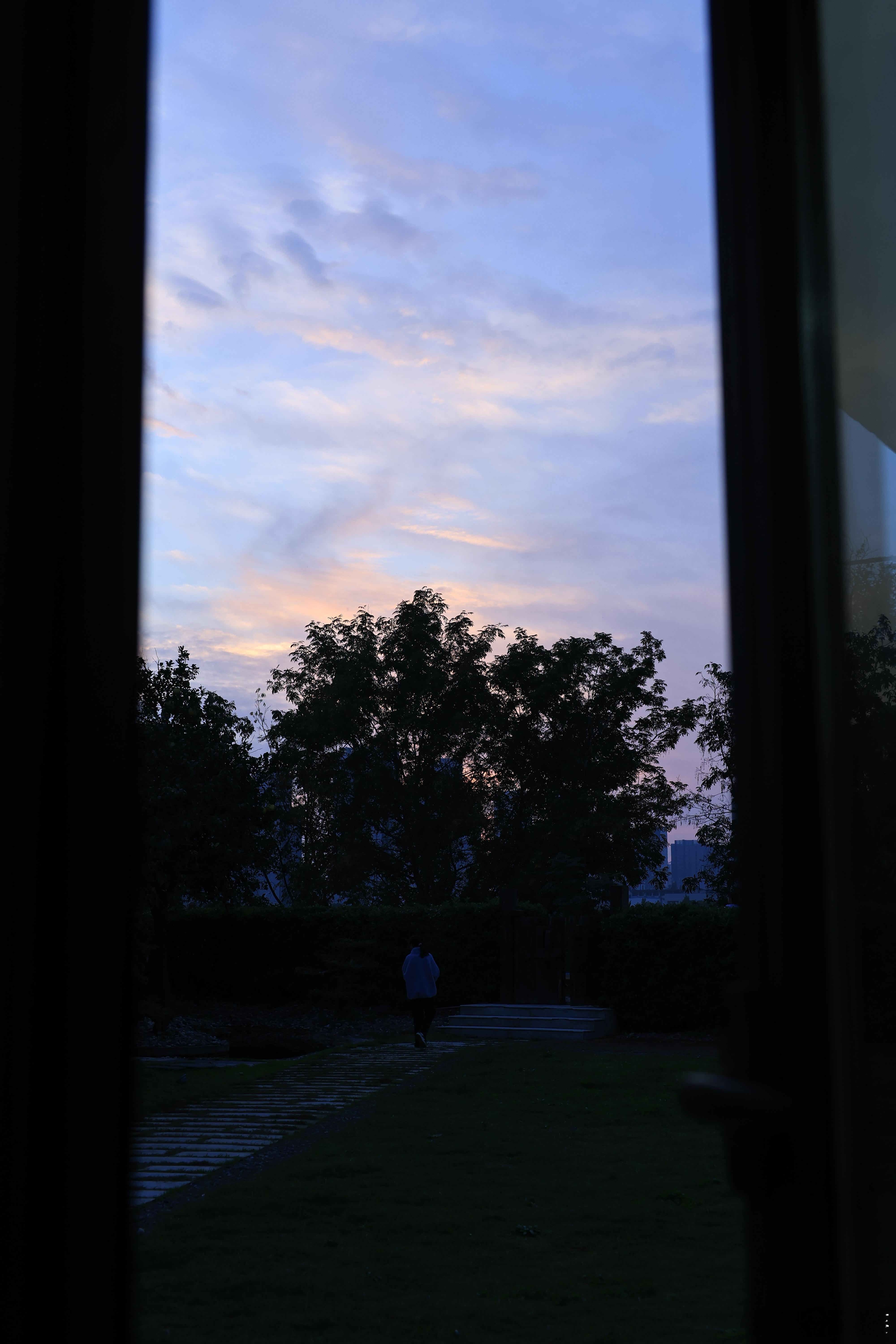 去鱼梁小院吃饭，遇见两只可爱的小猫咪​​​