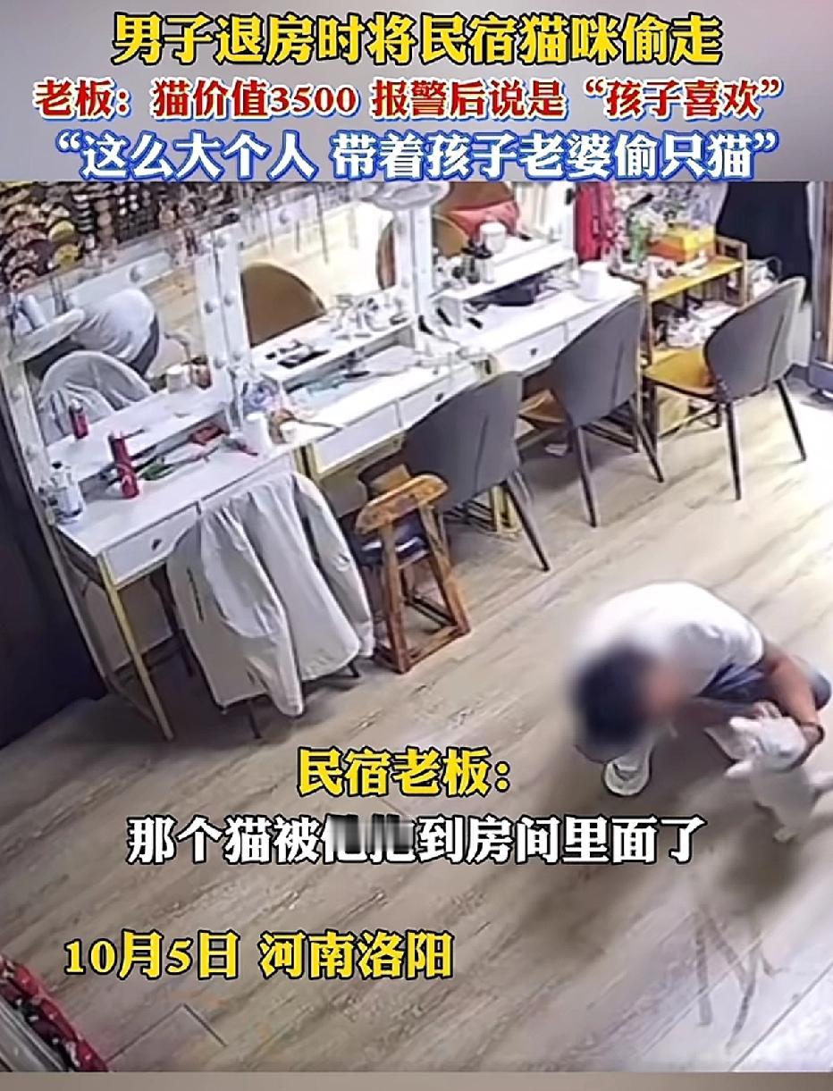 一家人前往河南洛阳旅游，男子在民宿中见到一只银渐层猫，喜爱至极，便轻轻将猫抱进了