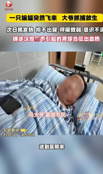 4月7日晚，安徽巢湖，一位大爷发现家中进了只蝙蝠，他伸手就去抓，可蝙蝠直接冲向了