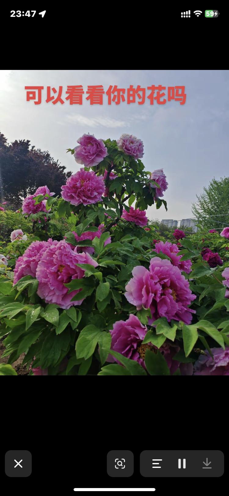 做太妹不是她想要的，只怪家族没一个有出息的，自己又不爱读书，混社会成了唯一出人头