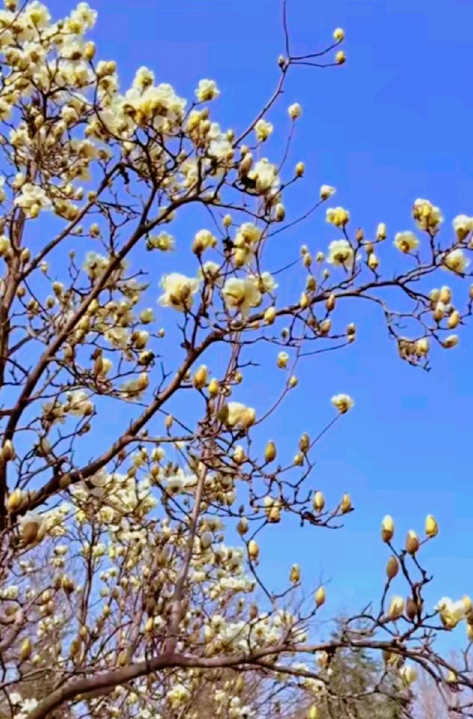 我和媳妇说过，人要好好活，更要好好死。人本应该生得有尊严，死得也有尊严。哪天我生