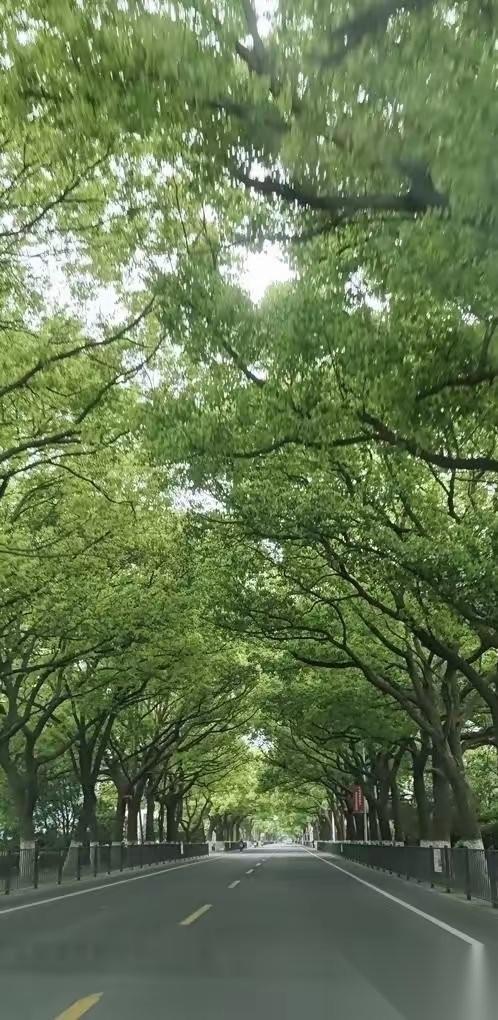 我发现，我妈老了，连性格都变了，早上我给妈妈打电话说，明天五一放假我就回去看她，