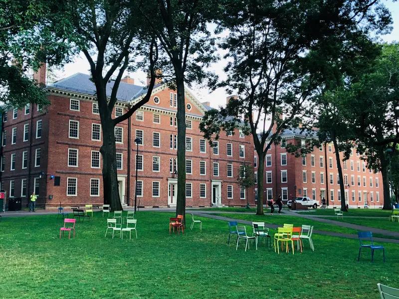 这篇文章总结了哈佛大学儿童发展中心几十年研究的核心观点，强调孩子的聪明才智不是天