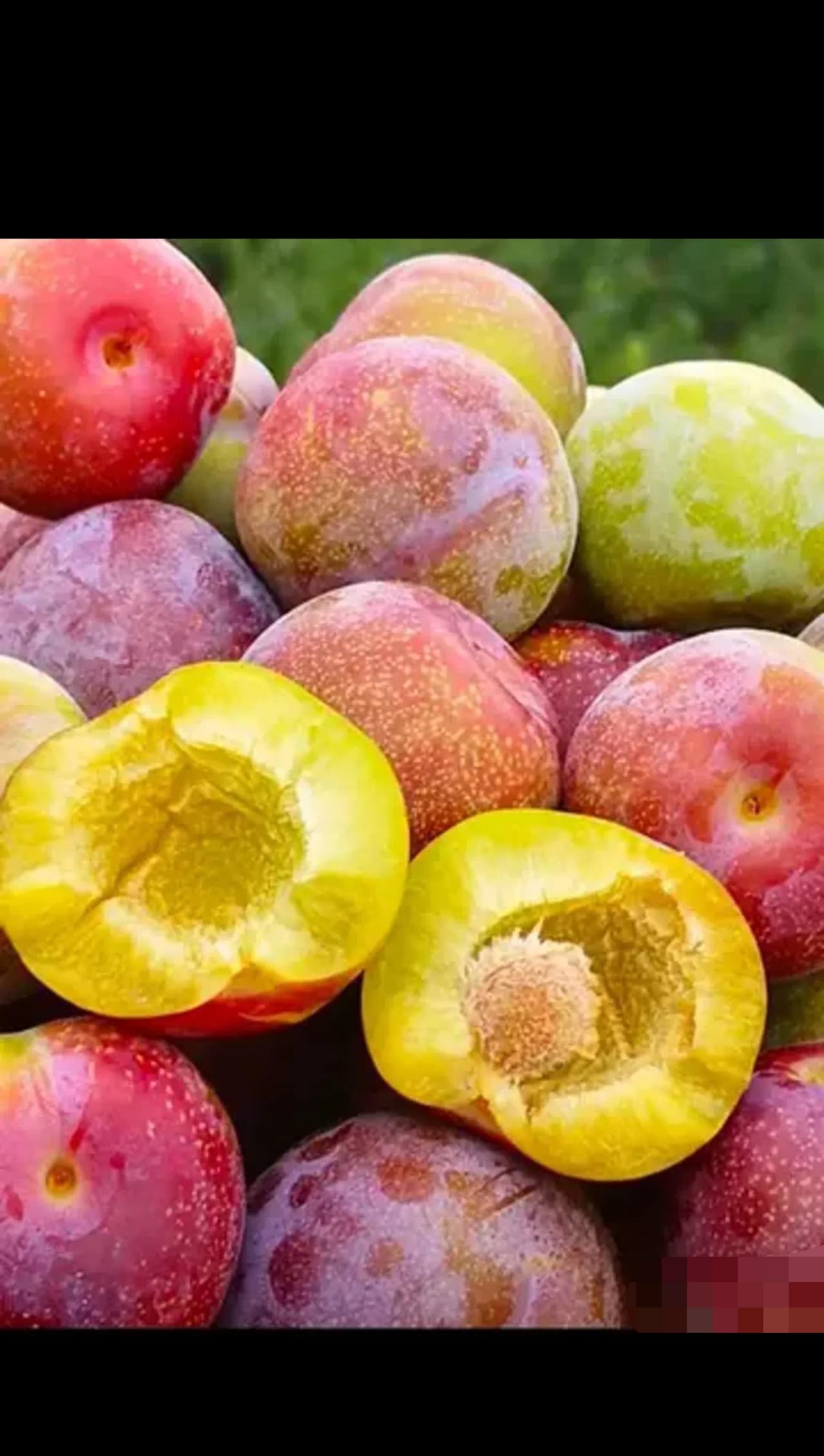 海南，女子在微信群花8800元买了740箱李子，加上600元运费，共支付卖家94