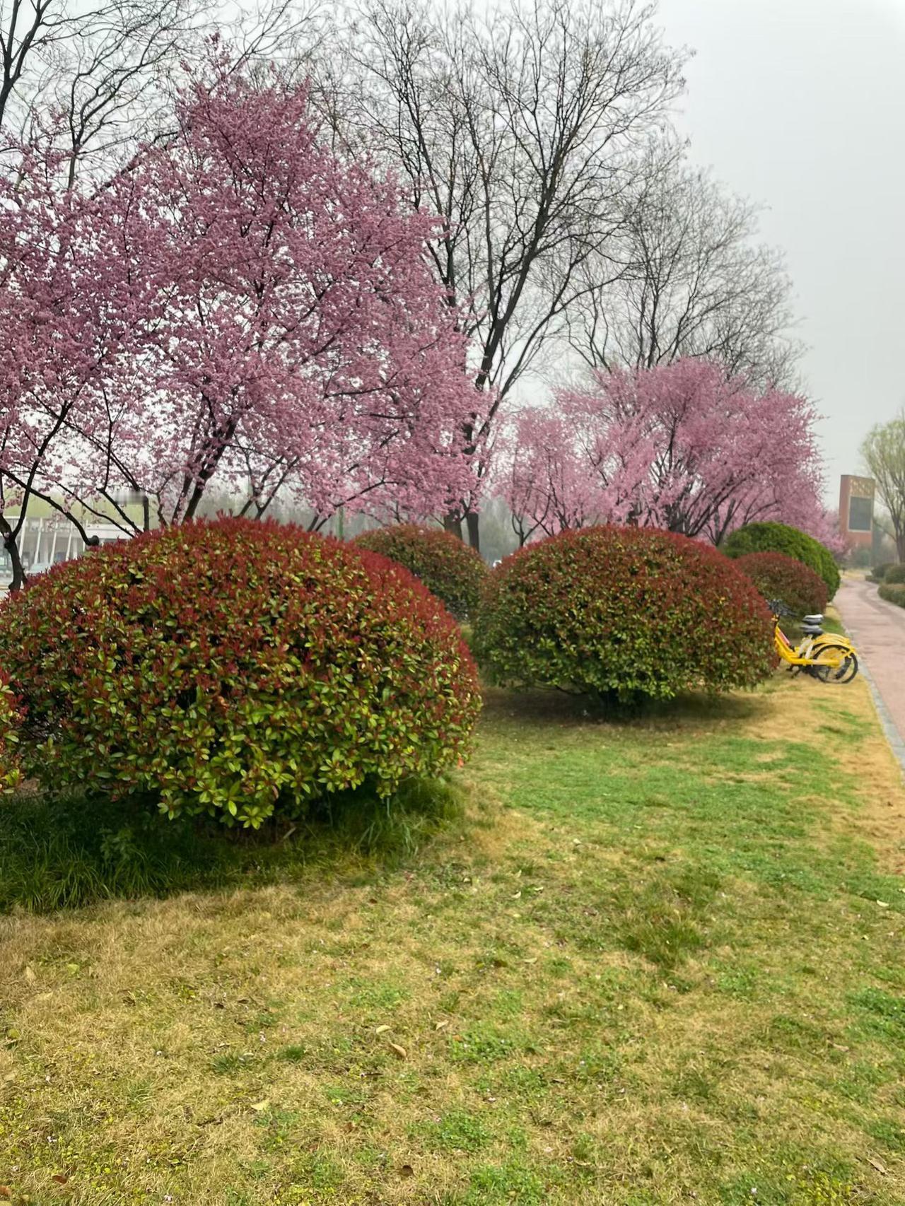 所有的委婉，本质都是因为双方地位不平等。一旦真正平等，沟通就会直白坦荡。一所学