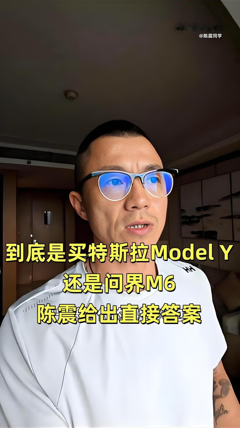 陈震毫不犹豫推荐了特斯拉ModelY，这是为什么？当网友问陈震，到底是买特斯拉