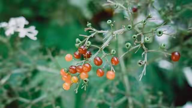 一个对家庭不忠的男人，永远都不可能是一个好父亲我见过太多男人，在外风流快活，