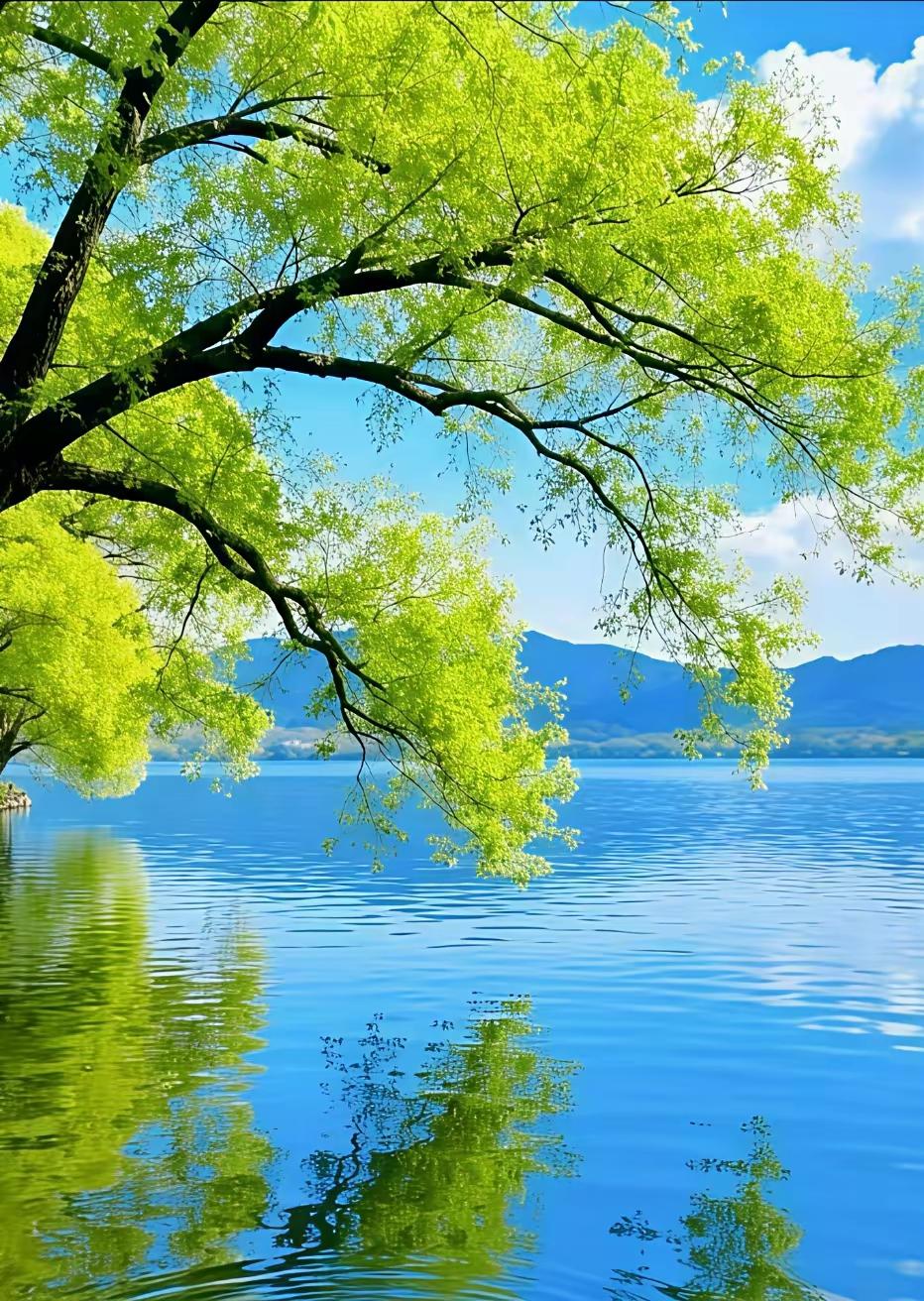 枕着清风闻着花香入眠春风一拂，人间便暖了。空气清得透亮，像滤过冰雪，又浸