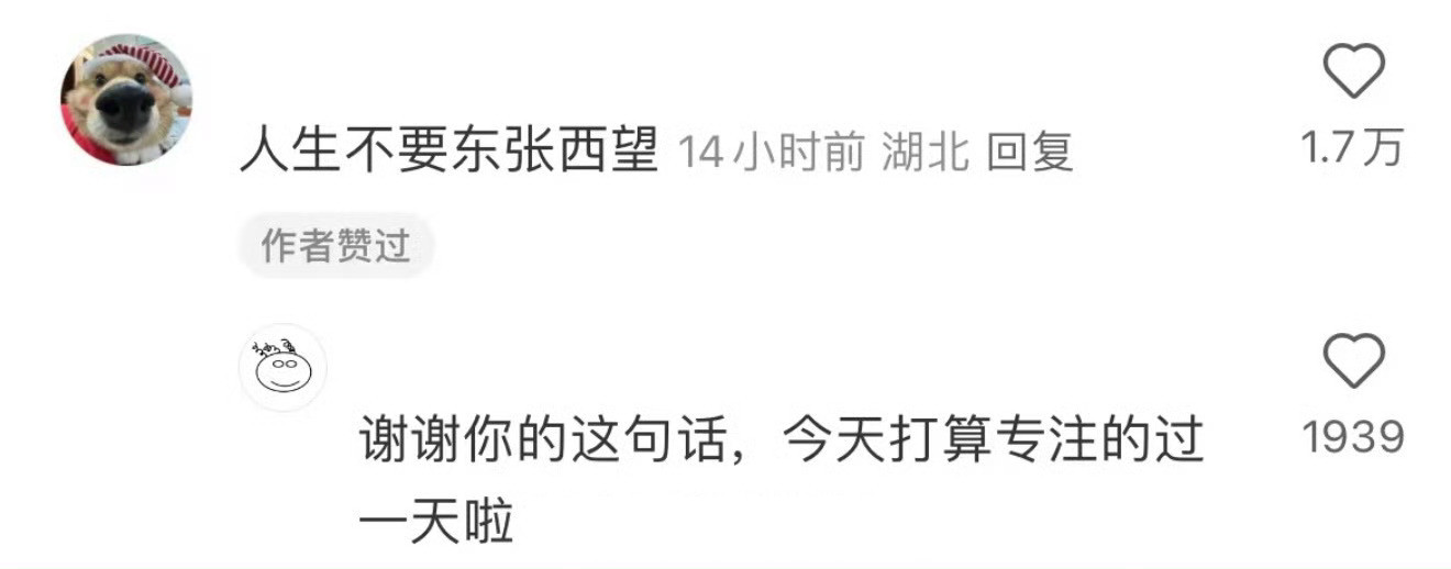 人生不要东张西望。​​​