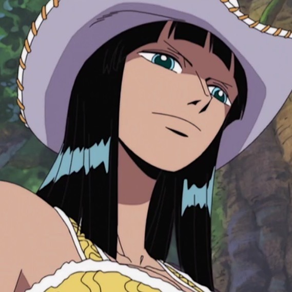 海贼王海贼王娜美和罗宾