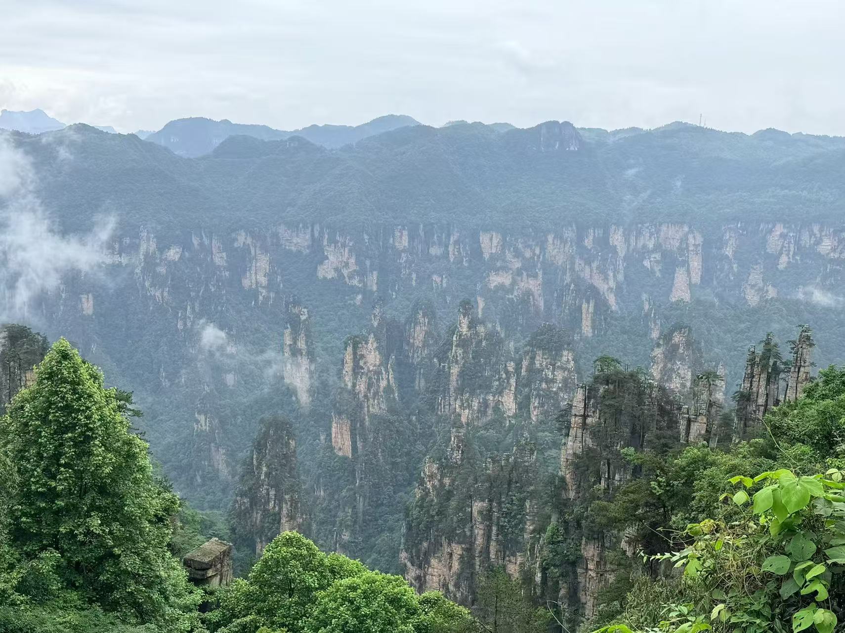 张家界，夏日天子山仙境打卡攻略！