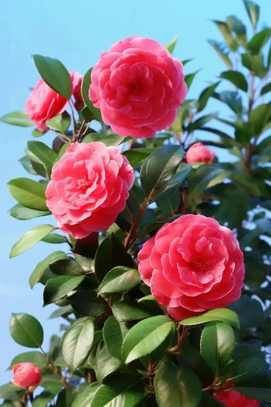 思念不声不响牵挂不张不扬无论是否相聚情谊永远不忘微信送去问候活出生活质