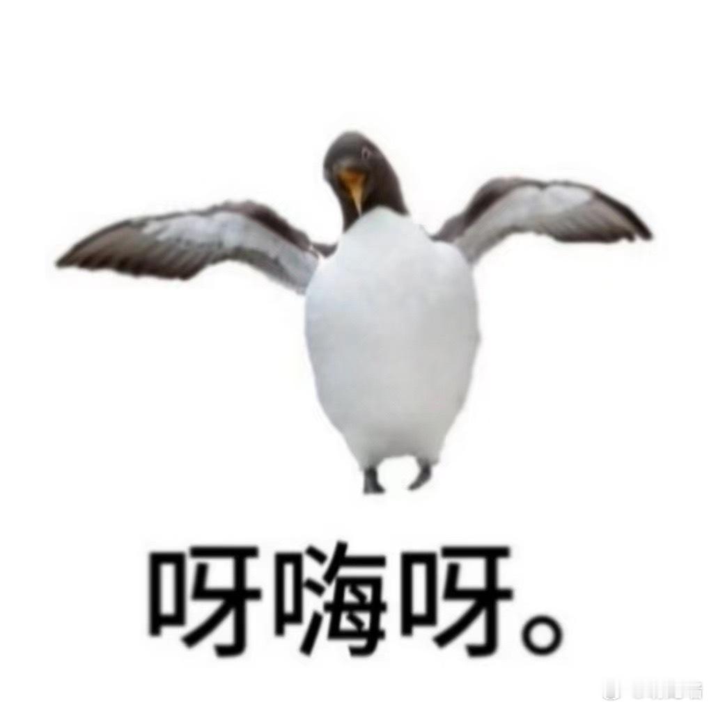 我以为夜鹭已经够抽象了没想到地球online还有第二关