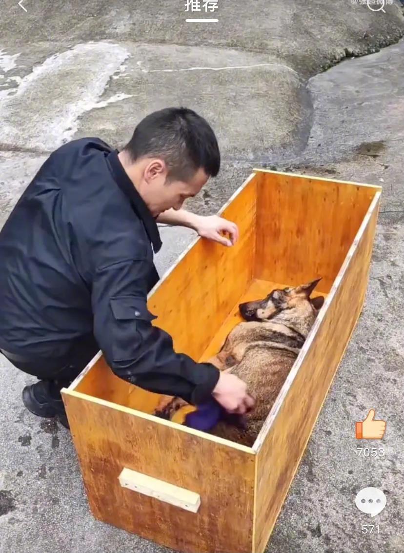 近日在贵州一只搜救犬萨萨离世，平时和他一起生活工作的的战友，给这只搜救犬办理一个