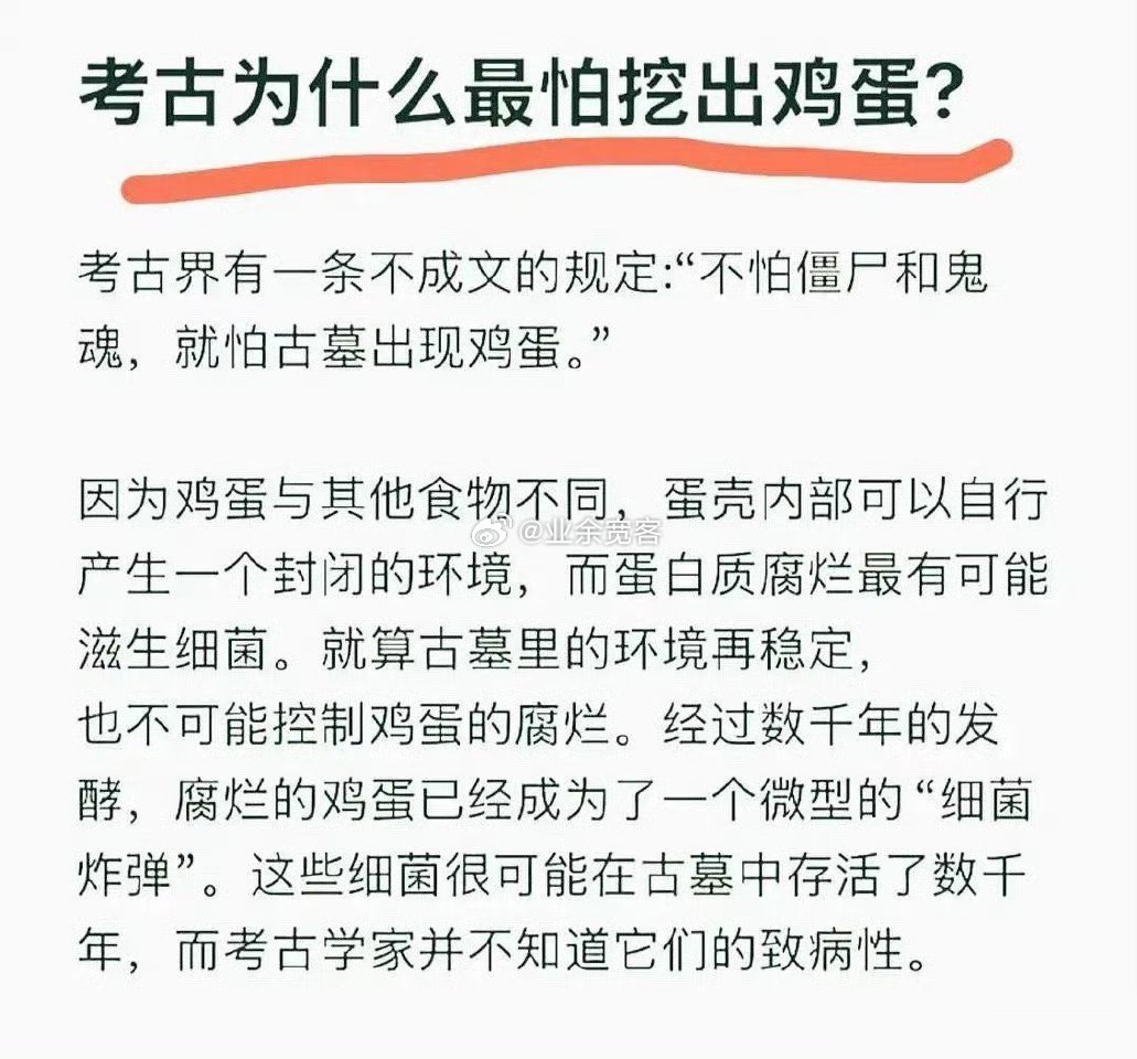 考古为什么最怕挖出鸡蛋？