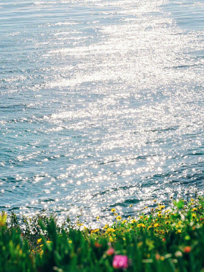 GOING岁月清浅，花草温柔，大海浪漫，人间值得。​​​
