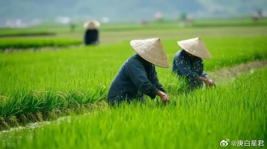 给农民涨养老金，是中华民族伟大复兴，最重要的一块拼图给农民涨养老金，是实现中华民