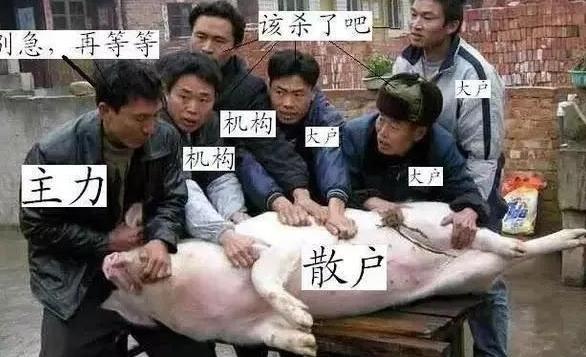 一位经济学者说：眼下A股的处境。机构和散户都把自己逼上了绝路，机构拉高了股价