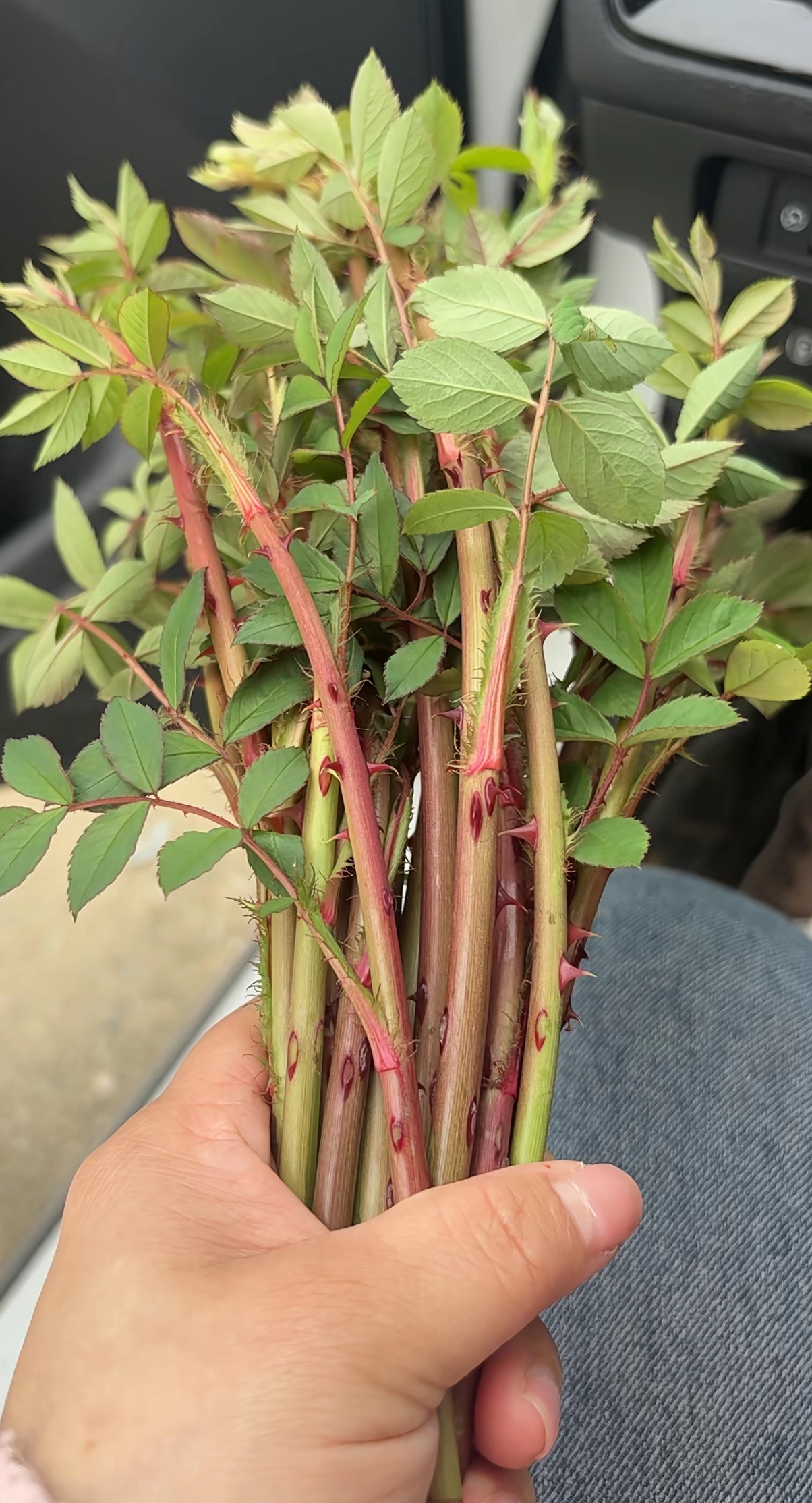 80、90后的湖北人一定知道这是什么，我们小时候的零食。