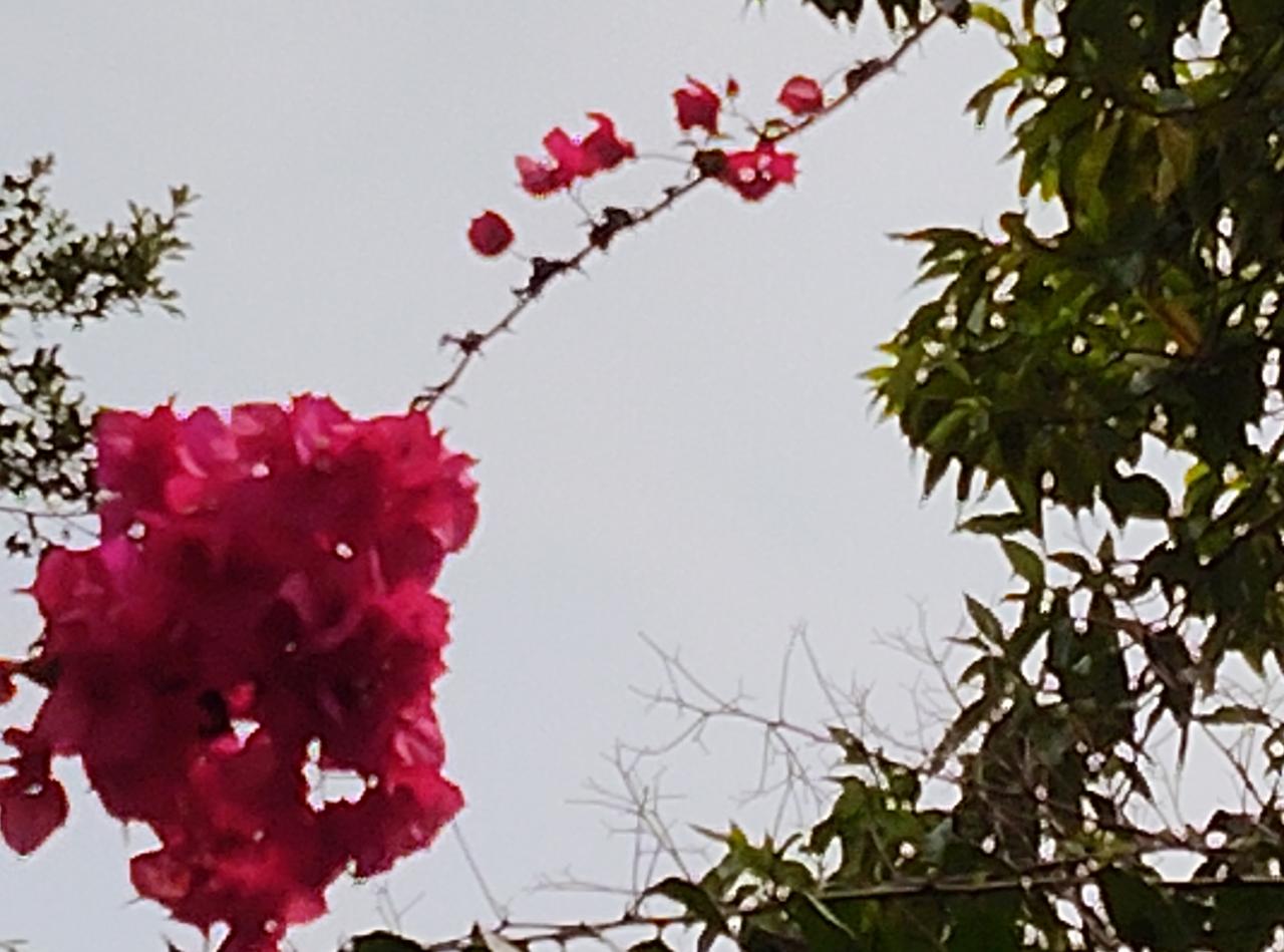 有情感专家说：“跟谁过日子其实都差不多，有时甚至不如现在。放下婚姻，家可能就散