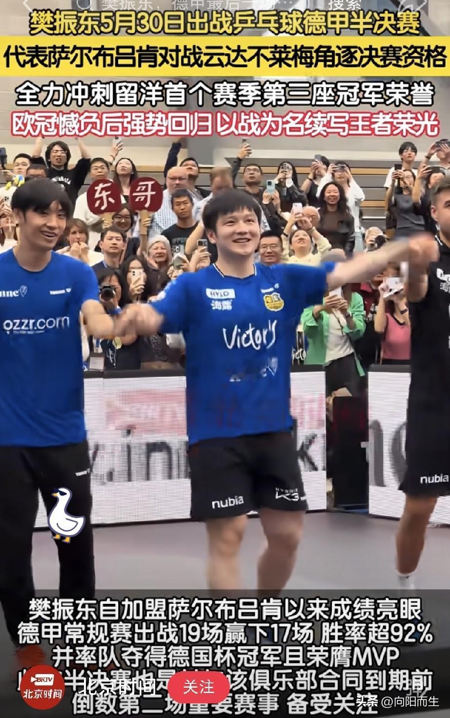 5月30日晚11点，樊振东德甲半决赛开打！这场球，注定不只是竞技，更像是一