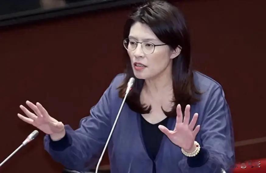 郑丽文在台北开腔，首次公开否认“一国两制”，不再兜圈子。这番话丢在岛内政坛，立马