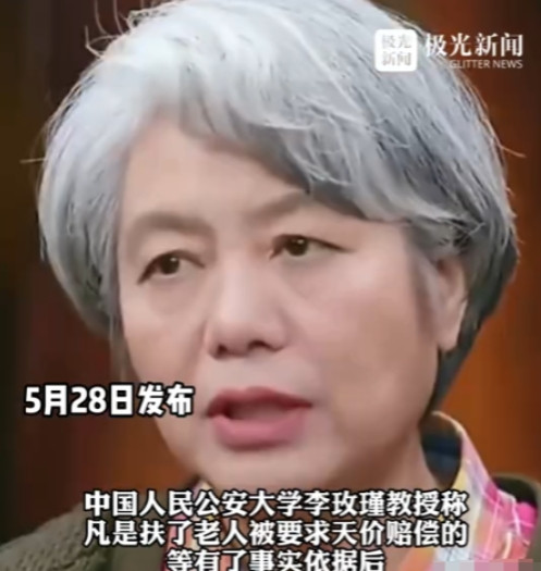 “不够判刑，那就高额罚款！”中国人大李玫瑾教授去年建议，凡是扶了老人被要求天价赔